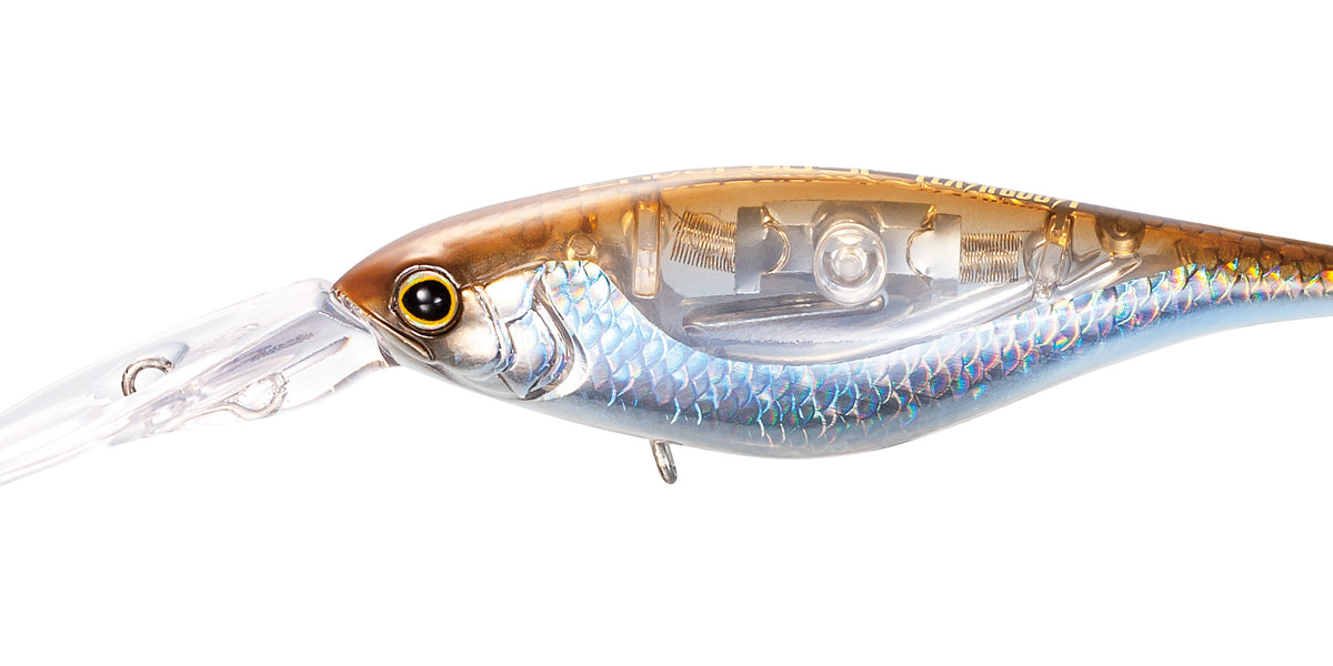 Shimano Bantam Lures - Enber 60SP & Ligen 66F — Spot On Fishing Tackle